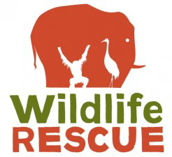 Adopt An Animal